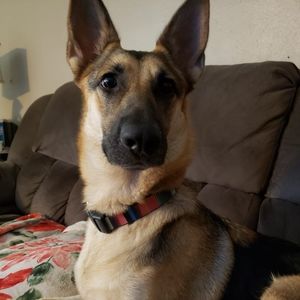 Meet your Posher, Linda